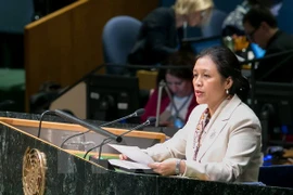 Ambassador Nguyen Phuong Nga, Permanent representative of Vietnam at the United Nations (Photo: VNA)