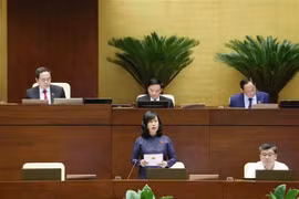 Minister of Health Dao Hong Lan speaks at the hearing of the 15th National Assembly’s eighth session in Hanoi on November 11. (Photo: VNA)
