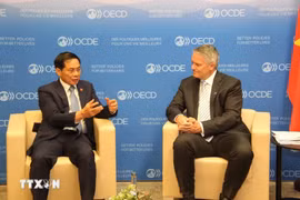 Minister of Foreign Affairs Bui Thanh Son (left) and OECD Secretary-General Mathias Cormann. (Photo: VNA)