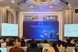 At the seminar co-hosted by the Vietnam E-Commerce Association (VECOM) and Access Partnership in Hanoi on December 16. (Photo: VNA)