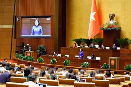 SBV Governor Nguyen Thi Hong speaks at the question-and-answer event of the 15th National Assembly’s 8th session on November 11. (Photo: VNA)