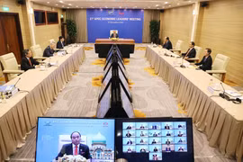 Vietnam continues partnering with APEC for regional peace and stability: PM