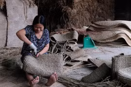 Vietnamese firms make every effort to overcome 'COVID-19 storm'