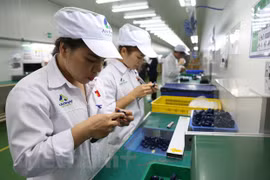 EVFTA opens up opportunities for investment, restructuring global value chains