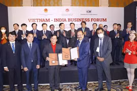 India-Vietnam economic ties grow strongly