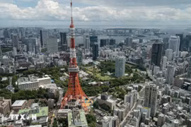 A view of Tokyo, Japan (Photo: AFP/VNA)