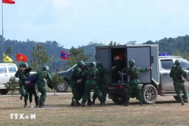  Vietnamese, Lao border localities hold a joint exercise on fighting drug crime (Photo: VNA)