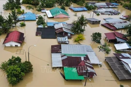 Malaysia announces emergency measures to address severe flooding (Photo: AFP/VNA)