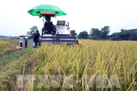 Bac Giang promotes rural tourism development (Photo: VNA)