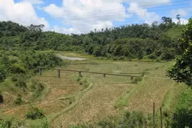 In Kon Plong district in the Central Highlands province of Kon Tum (Photo: VNA)