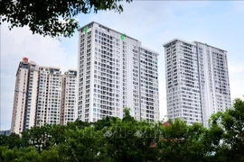 Apartment blocks in District 4 of Ho Chi Minh City (Photo: VNA)