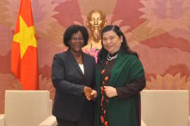 Vietnam, Mozambique forge legislative ties