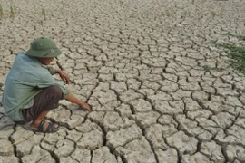 Over 150 billion VND needed to prevent drought in Hau Giang