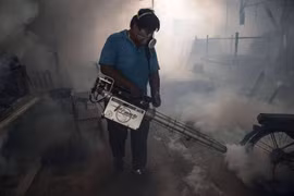 Thailand confirms two Zika-linked microcephaly cases 