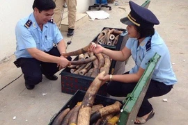  Customs seize 309kg of animal tusks from Lagos