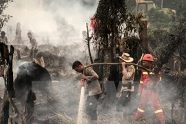 Indonesia: Haze from forest fires affects aviation activities 