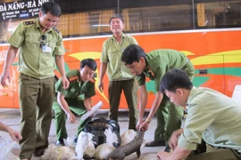 Wild animals rescued from illegal trade 