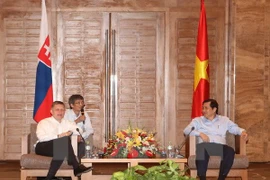 Slovak PM: Da Nang – a wonderful tourism city 