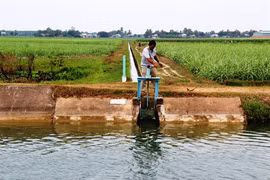 Irrigation needs investment from private sector 