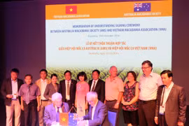 Vietnamese, Australian macadamia associations shake hands