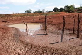 Int’l organisations to assist drought-affected localities