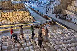 Trade promotion helps boost farm produce export 