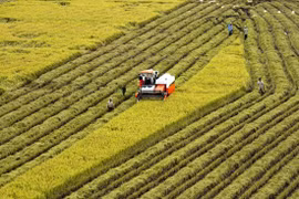 Mekong Delta forges connectivity for stronger development 