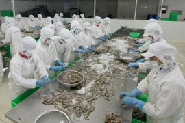 Shrimp exports to Republic of Korea to rise