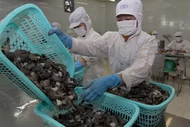 Dried fish, shrimp producers in Mekong fall short of Tet demand