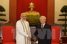 Comprehensive strategic partnership to fuel VN-India development 