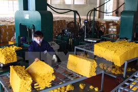 Plastics and rubber exhibition to open next month