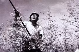 Vietnamese films screened on Indian national TV 