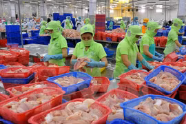 Tra fish sector sets sights on sustainable development