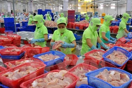 Tra fish sector sets sights on sustainable development