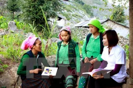 Vietnam calls for UNDP’s help in ethnic minority-related affairs 