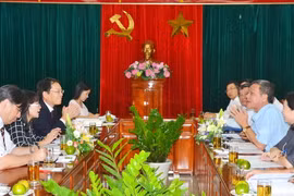 Dong Nai urged to hasten site clearance for JICA-funded projects