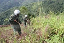Meeting seeks to address bomb/mine aftermath in Vietnam 