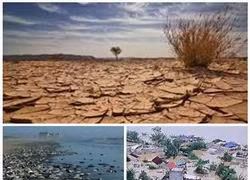 Project supports green growth, climate change response