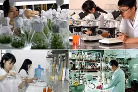 Quang Ninh prioritises science-technology development