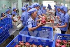 Southern localities urged to diversify trade promotion activities