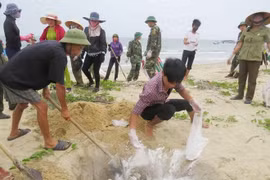 PM directs solutions in wake of mass fish deaths