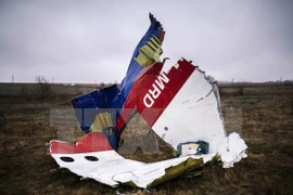 Malaysia vows to find out explanation for MH17 tragedy 
