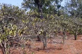 Laos assists Vietnamese victims of drought, saltwater intrusion