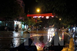 Whirlwinds uproot trees, collapse houses in central region