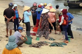 Compensation levels for Formosa damage in central provinces announced 