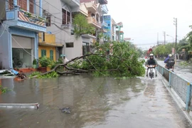 Storm Mirinae takes heavy toll on northern Vietnam