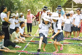 Hanoi: Tet programme to feature ethnic culture