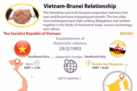 Vietnam-Brunei enjoy growing ties