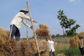 Korean NGO helps Cao Bang farmers improve income
