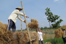 Korean NGO helps Cao Bang farmers improve income